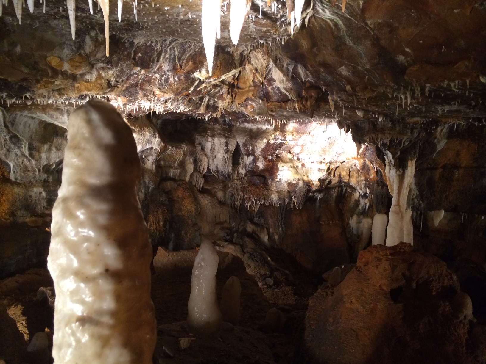 It's not just you. The stalagmites do look a bit like penises.