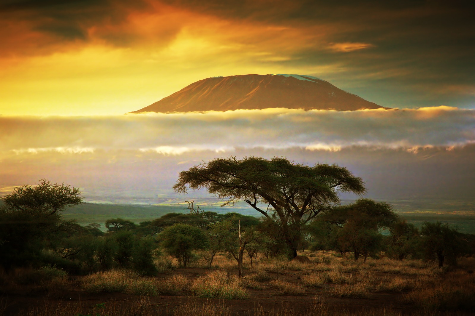 Mt. Kilimanjaro