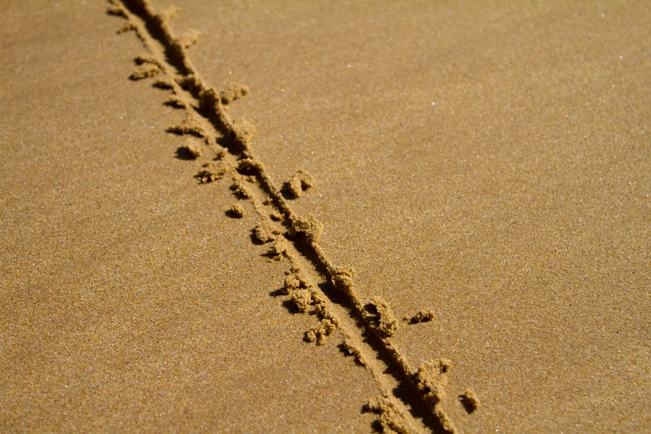 line in the sand