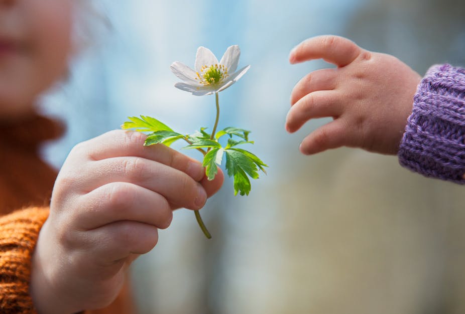 giving a flower